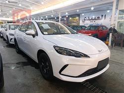 بي واي دي سيل 06 DM-i